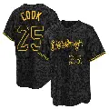 Youth No.25 Billy Cook Pittsburgh Pirates Black Replica Snake Skin City Jersey